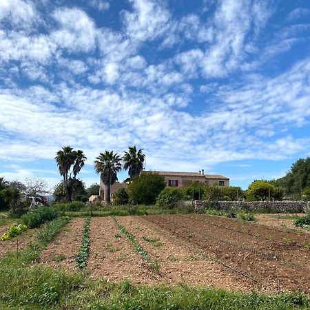 Finca Hotel Ses Cases Noves Sant Llorenc Des Cardassar Exterior foto