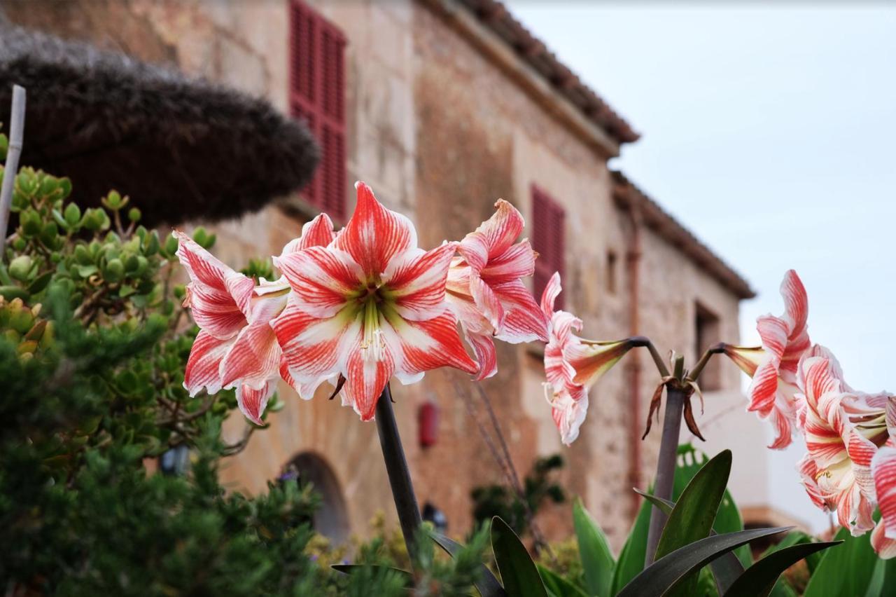 Finca Hotel Ses Cases Noves Sant Llorenc Des Cardassar Exterior foto