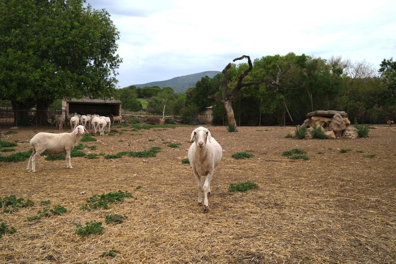 Finca Hotel Ses Cases Noves Sant Llorenc Des Cardassar Exterior foto