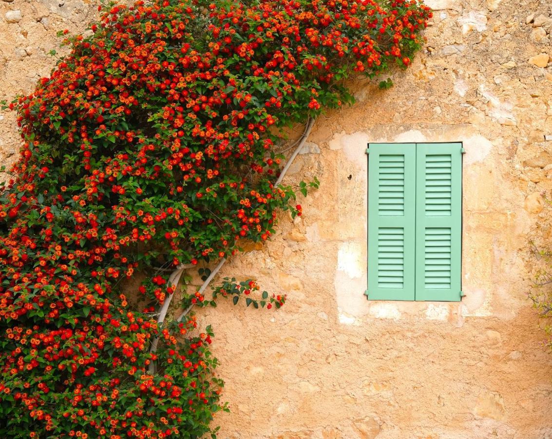 Villa Finca Ses Cases Noves Sant Llorenc Des Cardassar Exterior foto