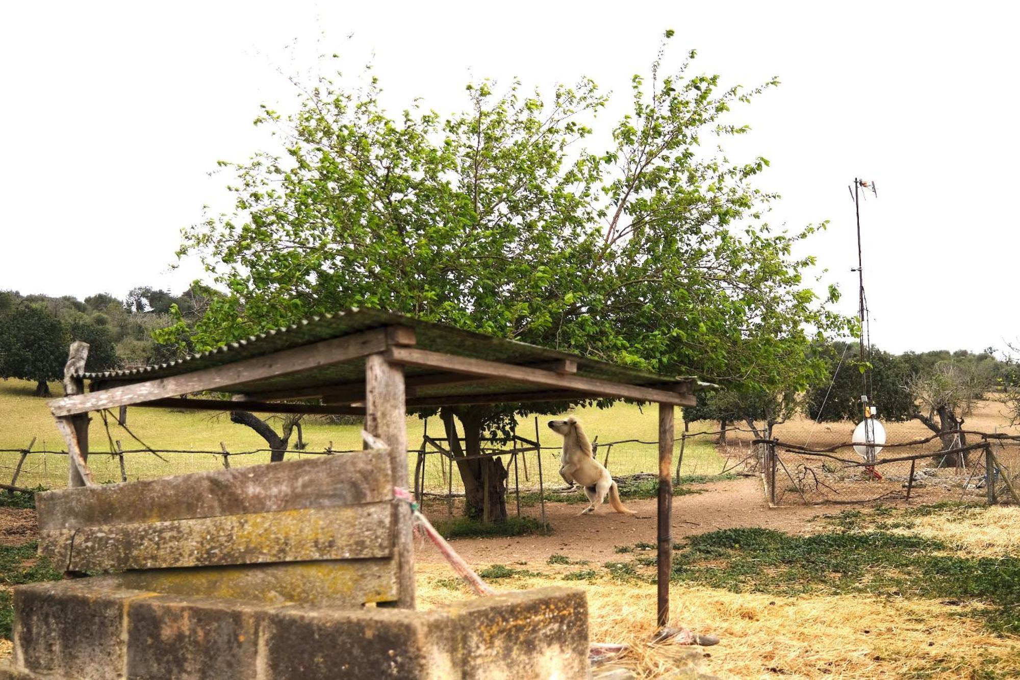 Villa Finca Ses Cases Noves Sant Llorenc Des Cardassar Exterior foto