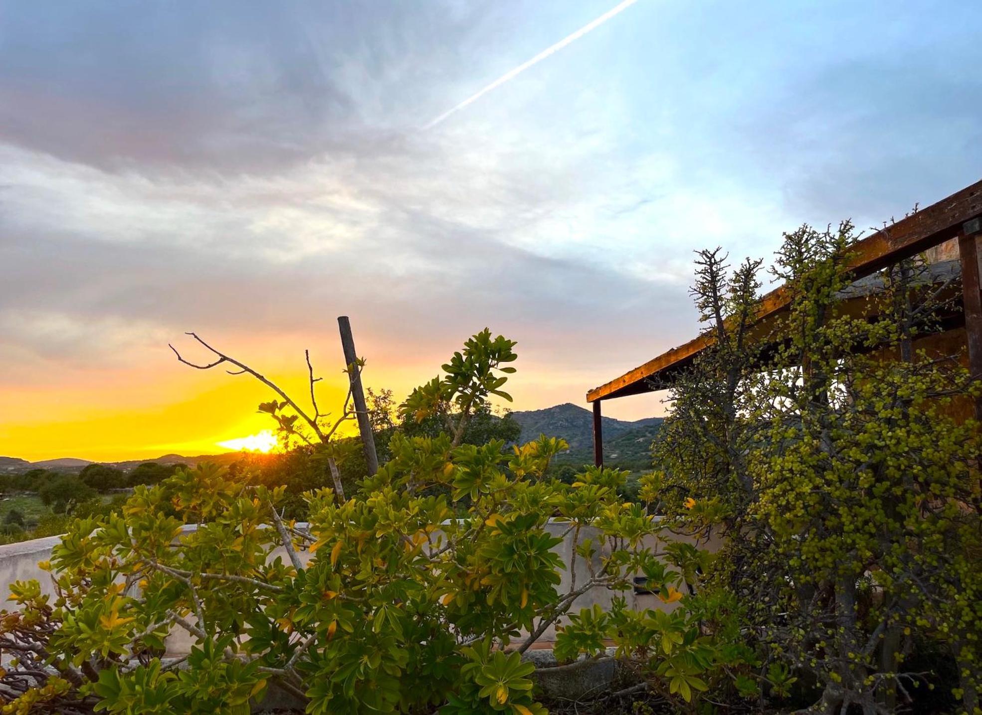 Finca Hotel Ses Cases Noves Sant Llorenc Des Cardassar Exterior foto