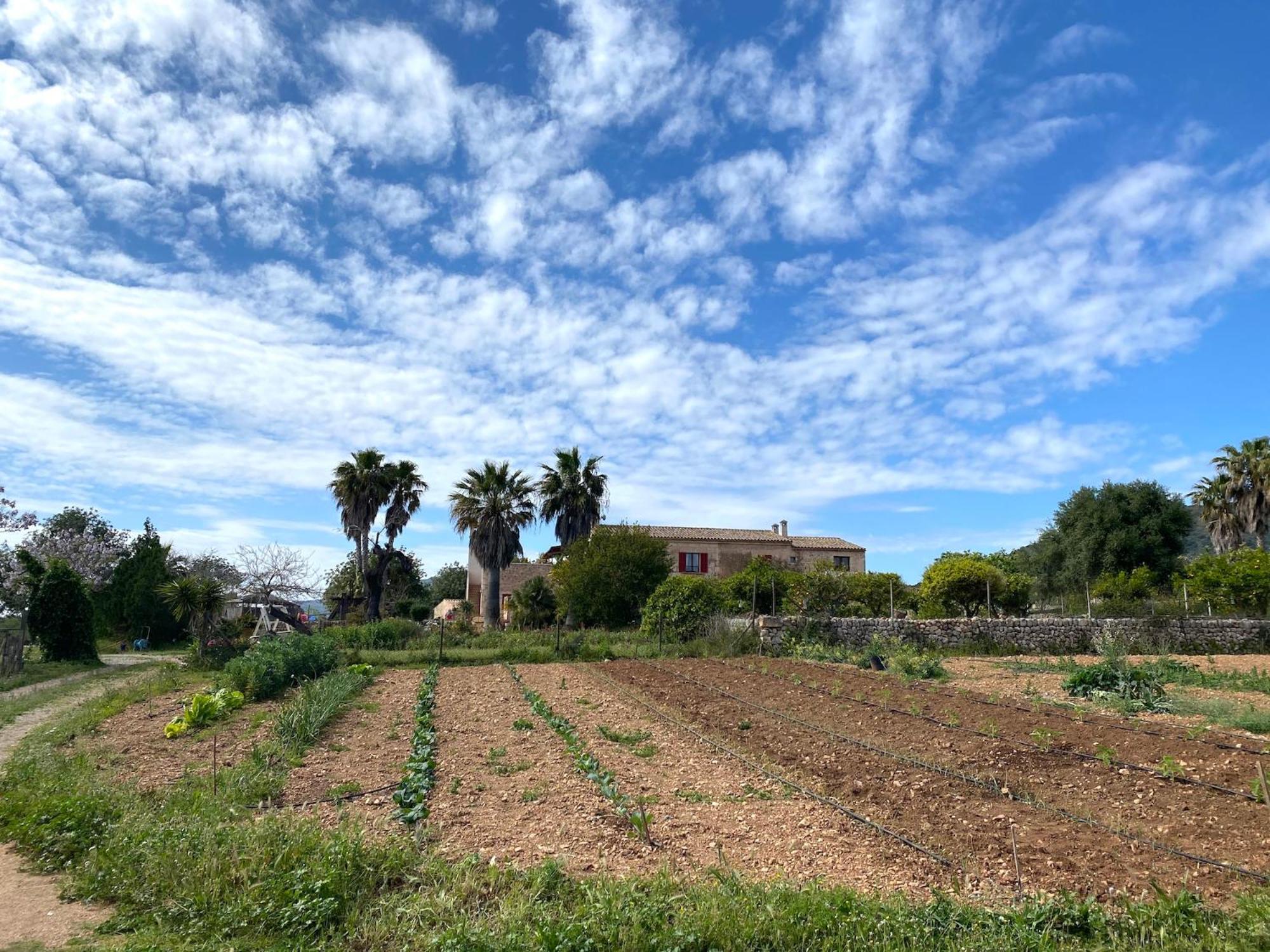 Villa Finca Ses Cases Noves Sant Llorenc Des Cardassar Exterior foto