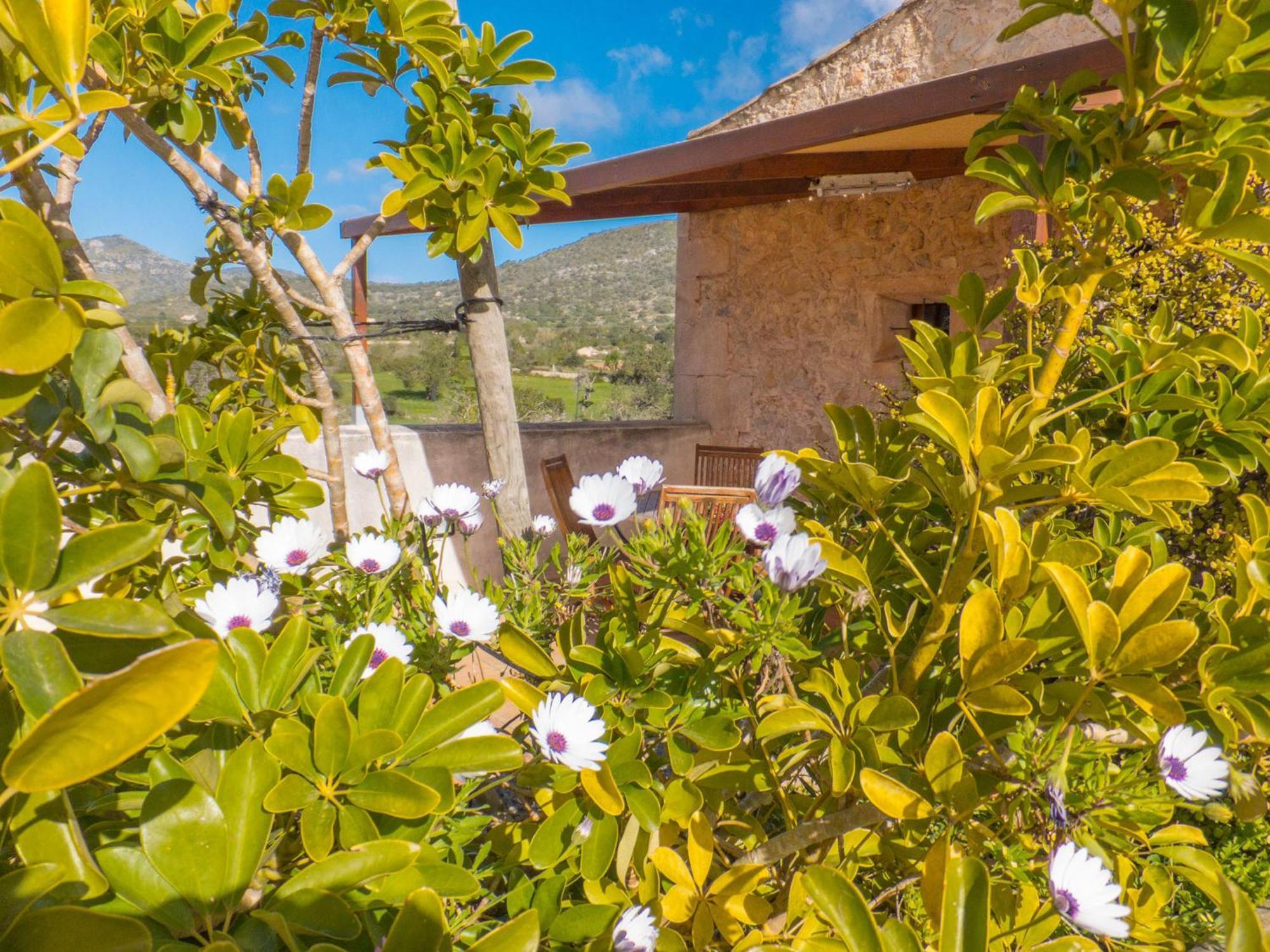 Finca Hotel Ses Cases Noves Sant Llorenc Des Cardassar Zimmer foto